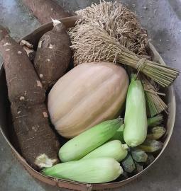 Perjuangan Tanpa Lelah Pamong Tancep: Dari Persiapan Siang-Malam hingga Sukses Persembahkan Pisungsu